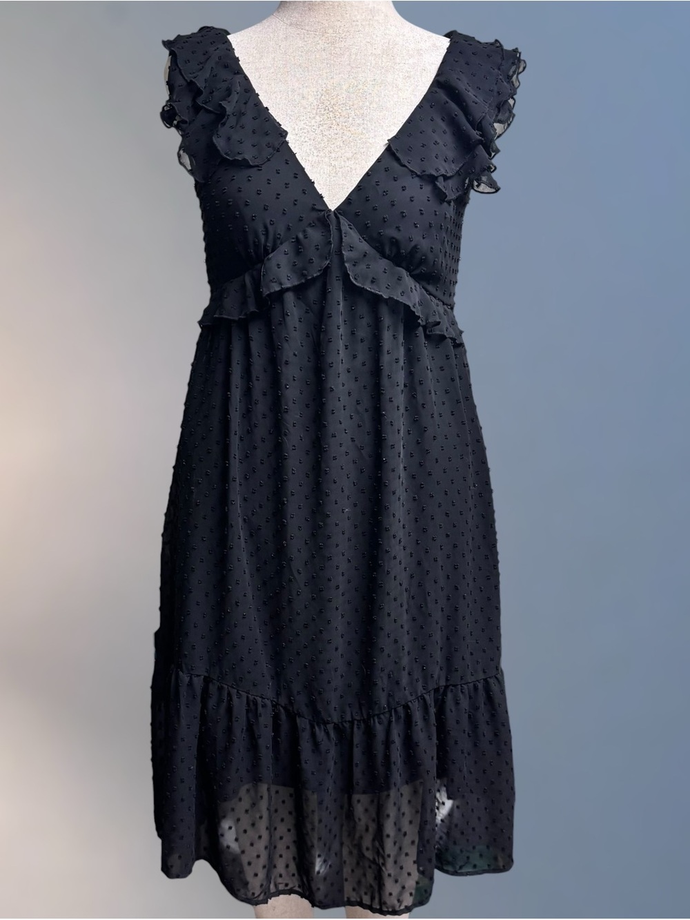 Francesca’s Black Ruffle Swiss Dot V-Neck Dress